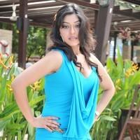 Payal Ghosh New Hot and Spicy Gallery | Picture 90665